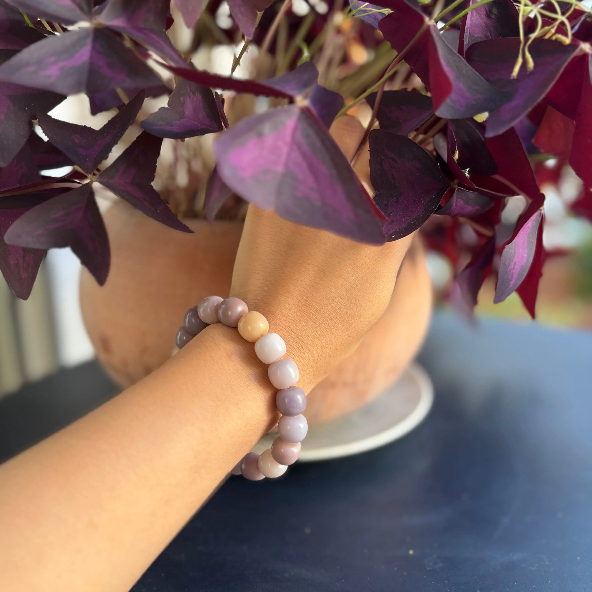 Bracelet racine de Bodhi - Velour Velvet.