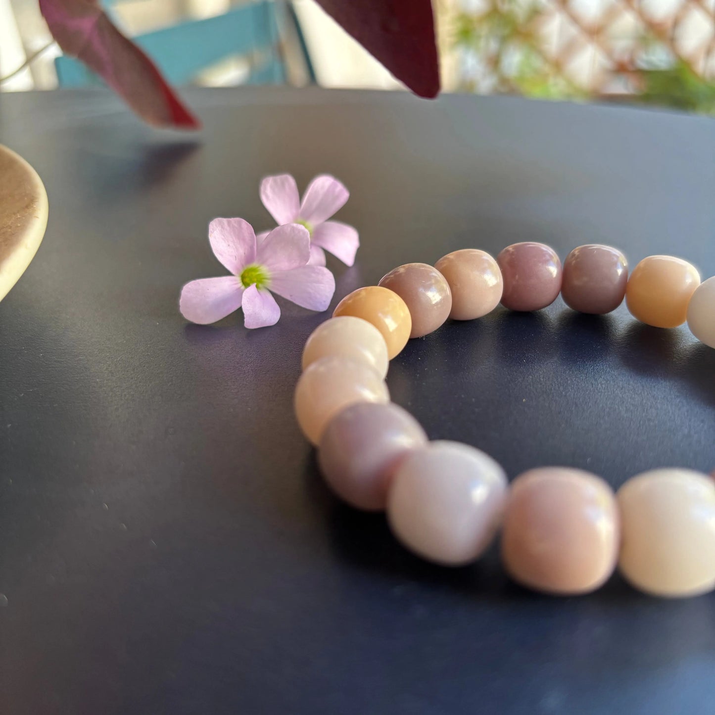 Bracelet racine de Bodhi - Velour Velvet.